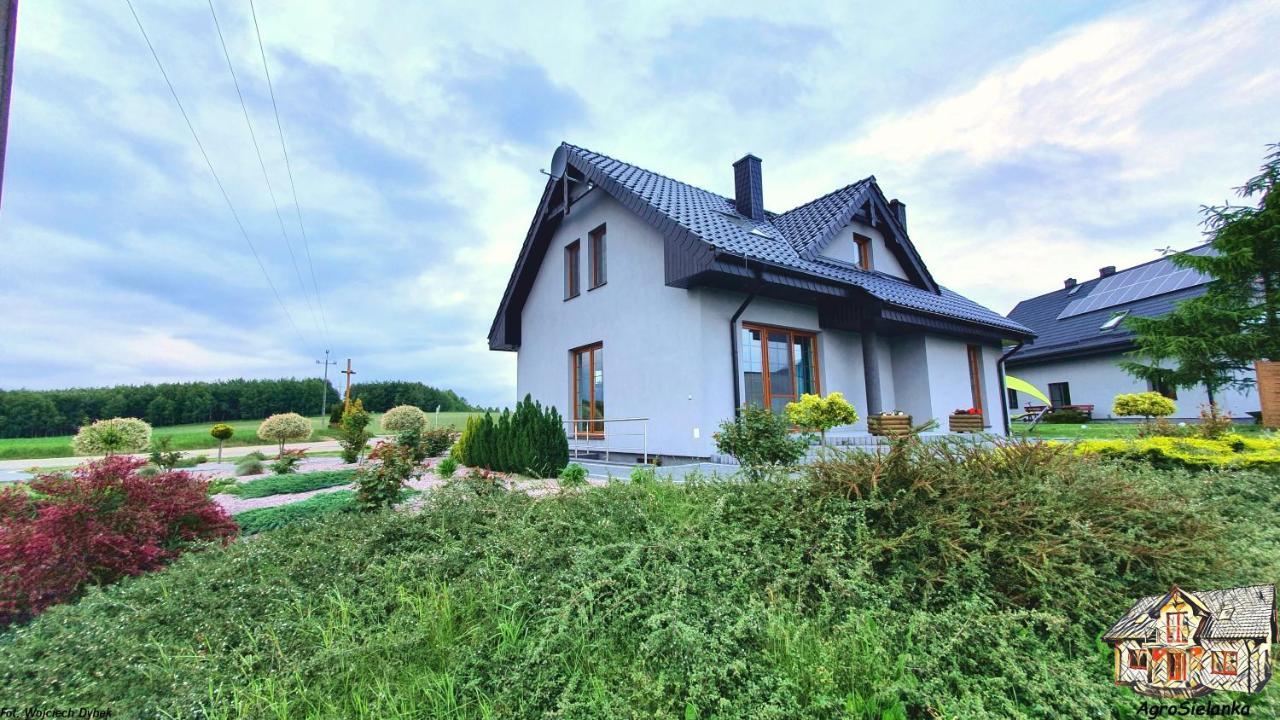 Lipnica  Agrosielankaヴィラ エクステリア 写真