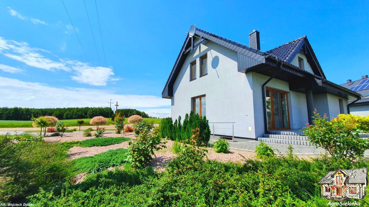 Lipnica  Agrosielankaヴィラ エクステリア 写真